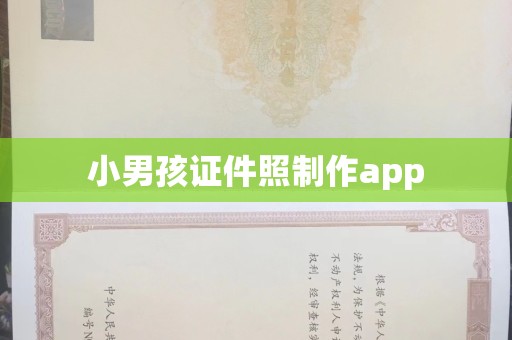 大连小男孩证件照制作app