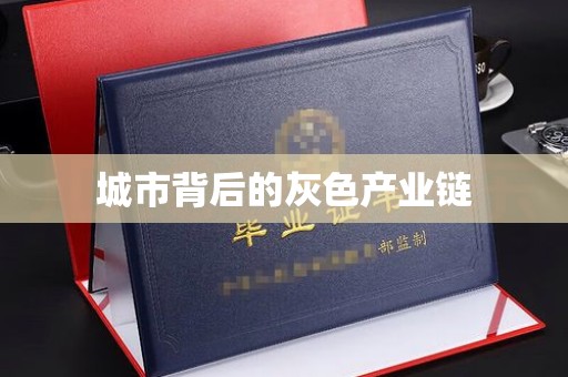 大连城市背后的灰色产业链