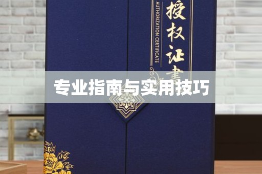大连专业指南与实用技巧